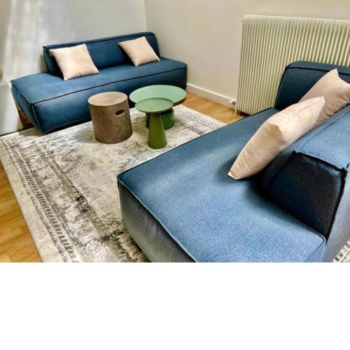 Spacious 2 Bedrooms in Paris 7th