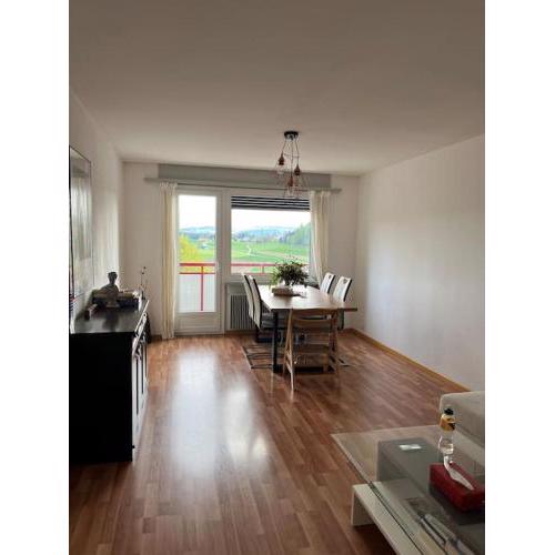 Spacious 2BR Apartment very near Bern - Alps view