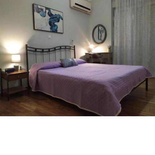 Spacious Apartment Archidamoy 114