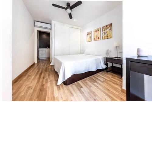 Spacious apartment in the heart of Málaga
