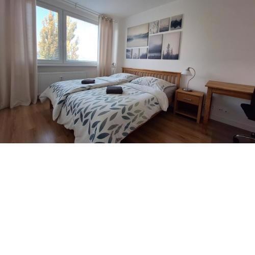 Spacious apartment in the park