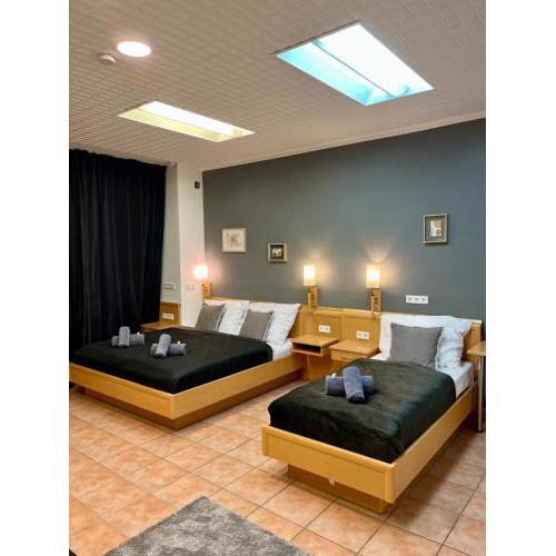Spacious Apartment in Vienna Center
