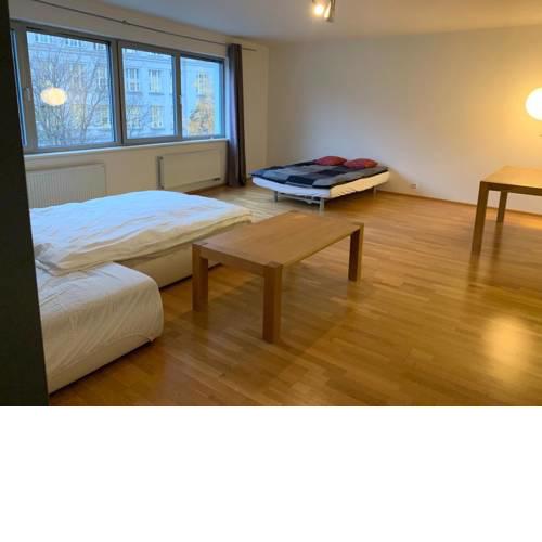 Spacious apartment near the city center