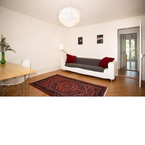 Spacious apartment next to park with free BaselCard