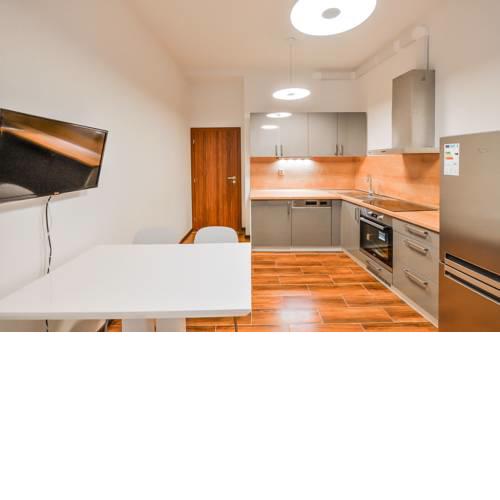 Spacious Apartment Old Town U Pujcovny