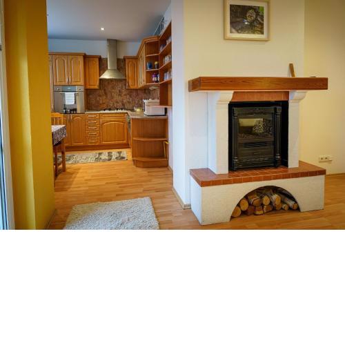 Spacious apartment with a fireplace in the city