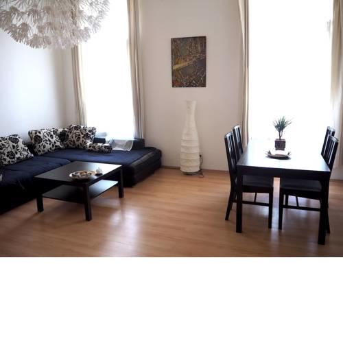 Spacious Apt in city center
