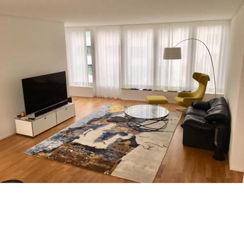 Spacious City-Apartment