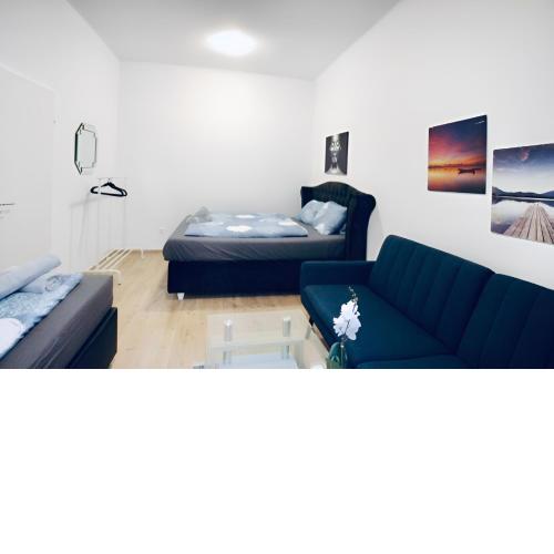 Spacious Cozy 1BR Apt Near to Danube River