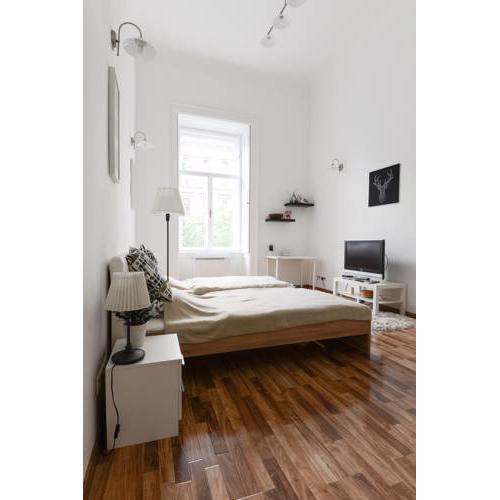 Spacious Evergreen Apartment in the heart of Budapest