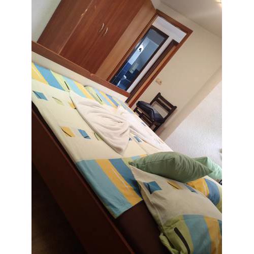 Spacious family apartment Dana