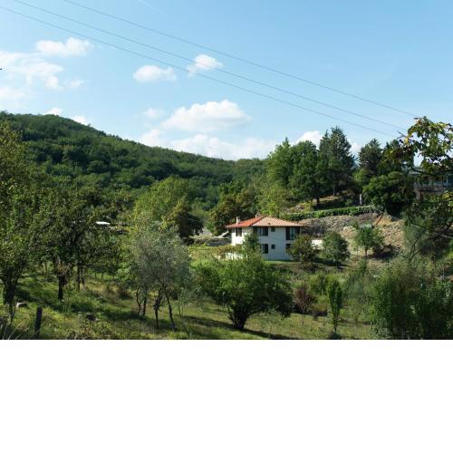 Spacious holiday home in Vicchio with private Pool