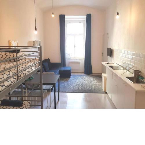Spacious, Light Studio Apartment in Vinohrady