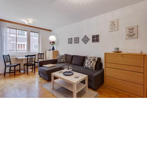 Spacious Modern City Apartment Close to Shopping Mile
