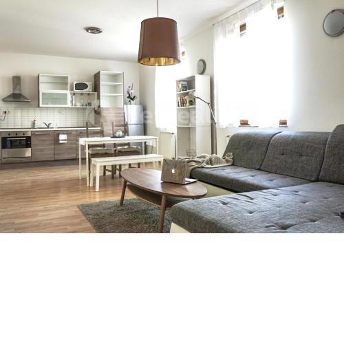 Spacious Penthouse Apartment in Prague City Center