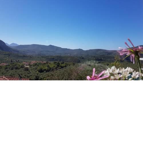 Spacious Retreat (Queen beds) Captivating Mnt View