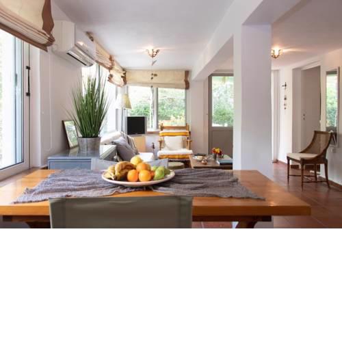 Spacious romantic villa for family and friends