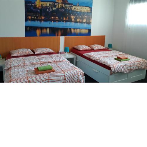 Spacious room nearby Vltava river
