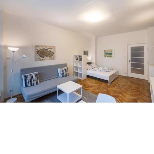 Spacious studio apartment suitable for 4 guests near Petřín hill by easyBNB