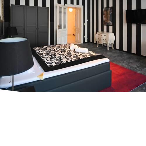 Spacy Apartment Schönbrunn