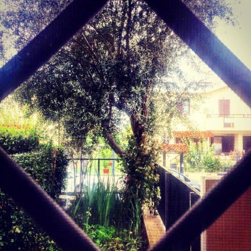 Spazio e tranquillità a Roma