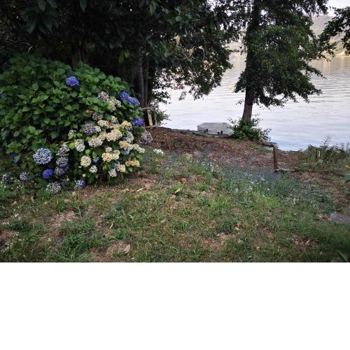 SPIAGGIA PRIVATA e APPARTAMENTO LAGO D'ORTA