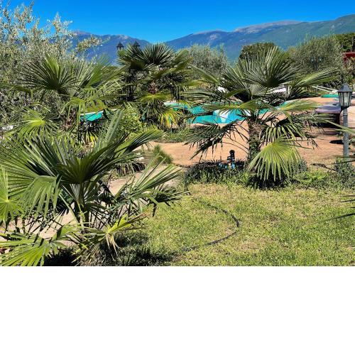 Spoleto apt 5 guests - With infinity pool, extensive grounds