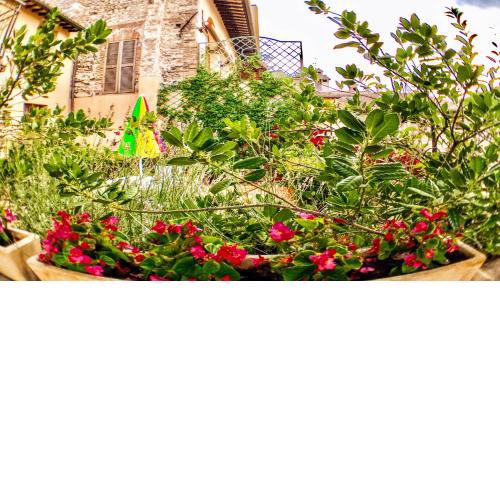Spoleto Bellasleeps 4 - 2