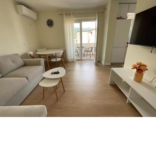 Spring apartment in Permet