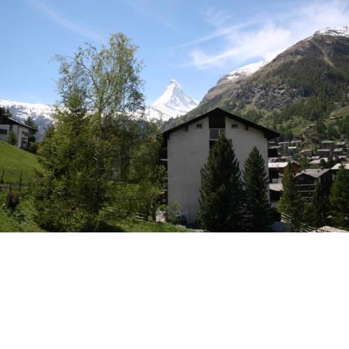 St. Bernhard