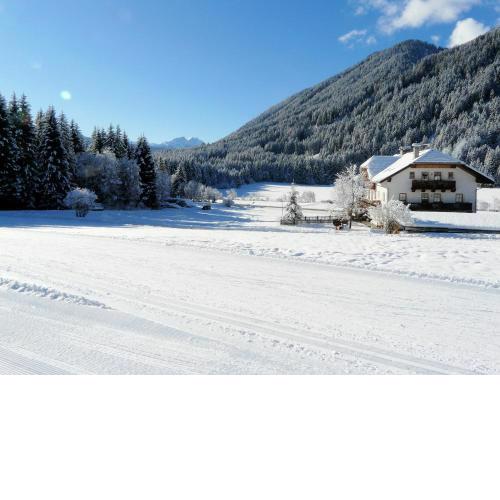 Stacherhof