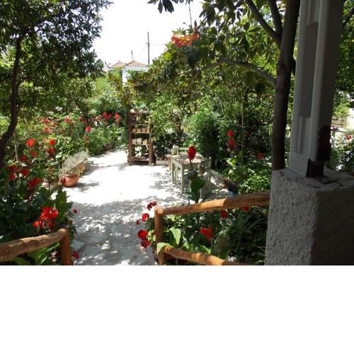 Stamatia's Garden