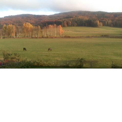 Stanování na farmě