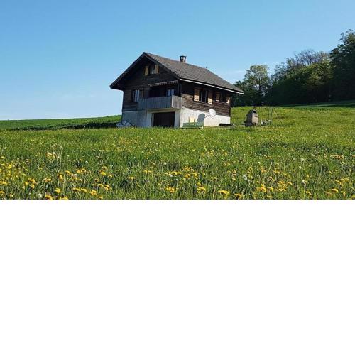 Staufenhof