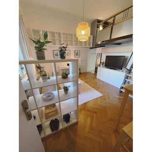Stefanka apartment Old Town
