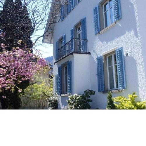 Stilvolle, grosszügige Ferienwohnung in Jugendstil-Villa, zentral in der Stadt und doch ruhig im Grünen gelegen!