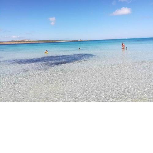 Stintino sardegna delizioso bilocale vista mare