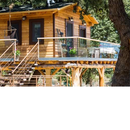 Stolidi Mou Treehouse