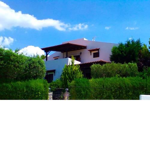 Stonewood home garden, Trikorfo Chalkidiki