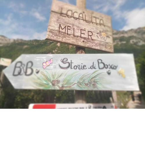 Storie di bosco