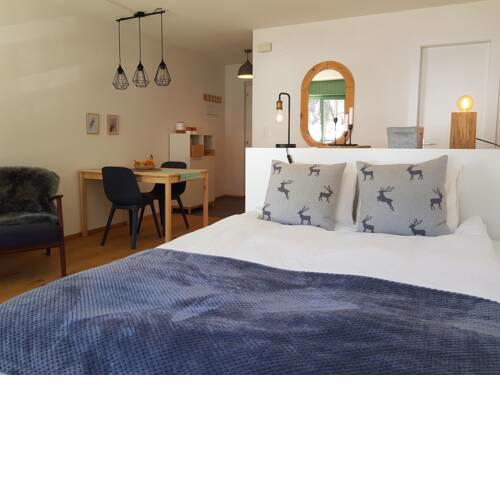 Studio - Cosy et central, Haute-Nendaz, 4 Vallées