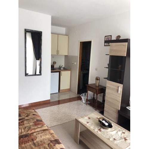 Studio apartman Ceca