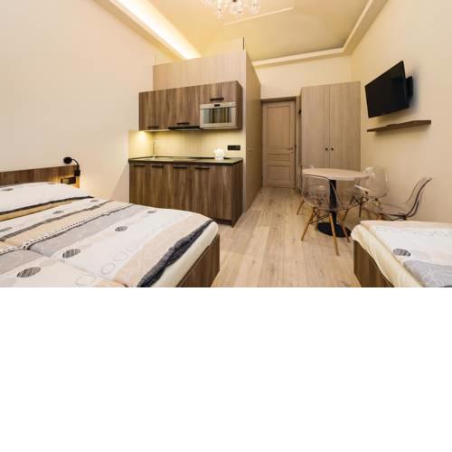 Studio Apartment in Praha 1