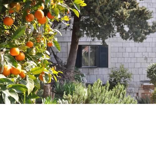 Studio apartment Midtown - Close to Everything