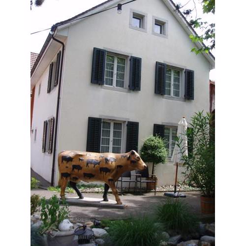 Studio-Apartments by Ochsen Lenzburg