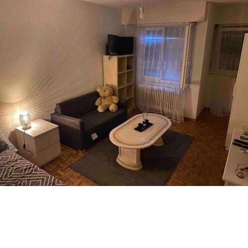 Studio charmant centré à Lausanne