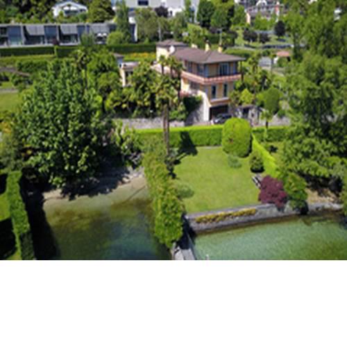 Studio Cigno