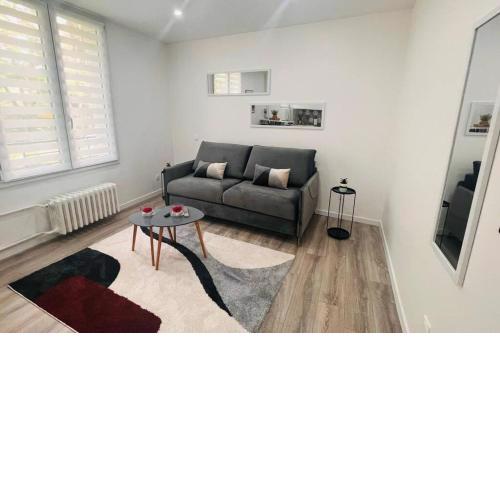 Studio cosy Buttes-Chaumont