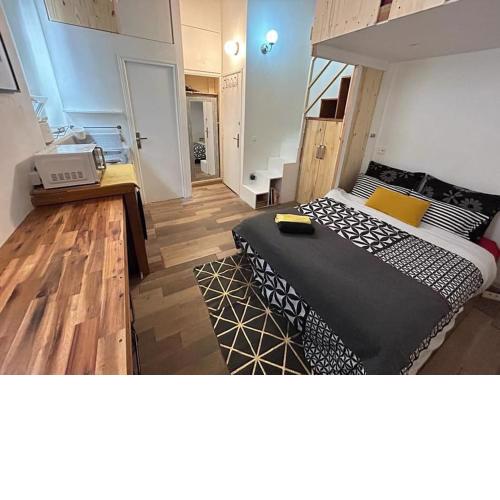 Studio en plein centre de Paris