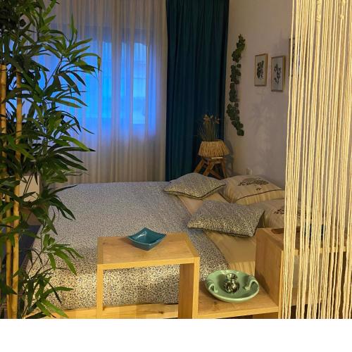 Studio Flat in the City Center